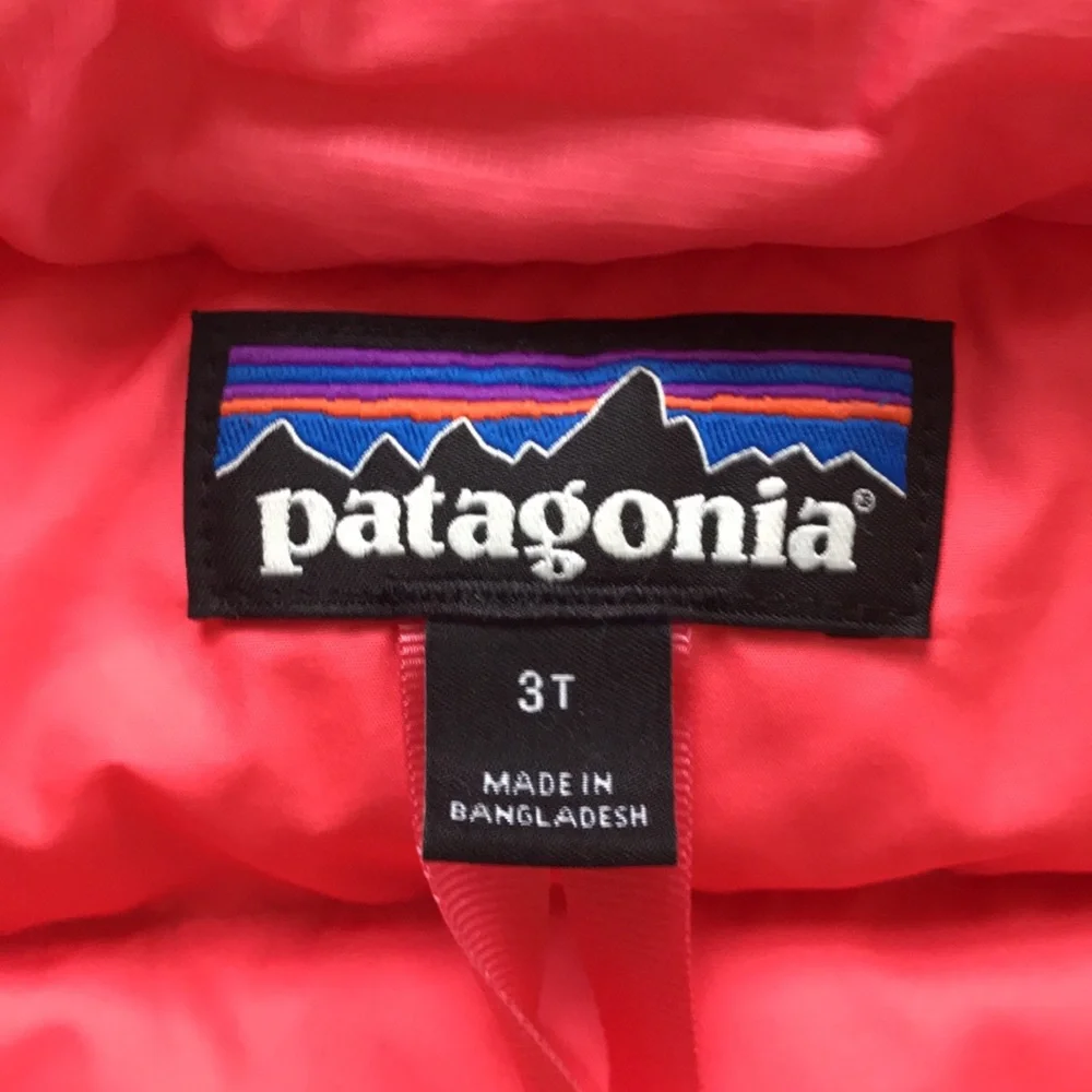 Patagonia Puffer Jacket (size 3T)
